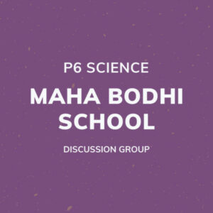 Group logo of P6 Science – Maha Bodhi School Discussion Group